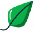 Group 194.svg dibujo hoja